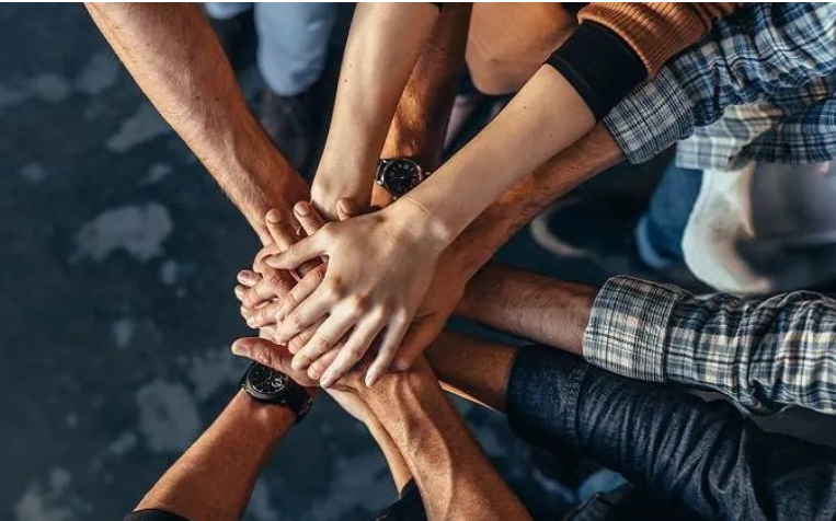 Organizational Innovation