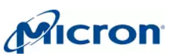 Micron Technology Inc.